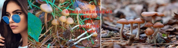 каннабис Кулебаки