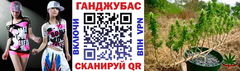 Купить где  Барыш  Бошки марихуана MAZAR 